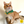 Set de 2 pañuelos reversibles para mascotas Critical Role